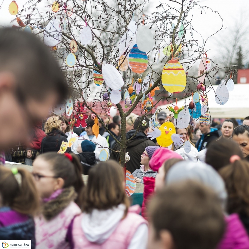 Nyuszifutás a Városi Stadionban
