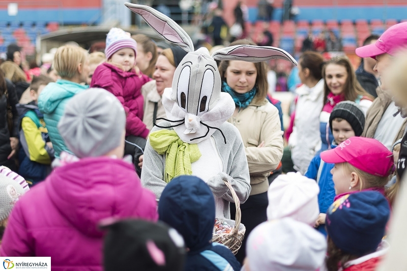 Nyuszifutás a Városi Stadionban