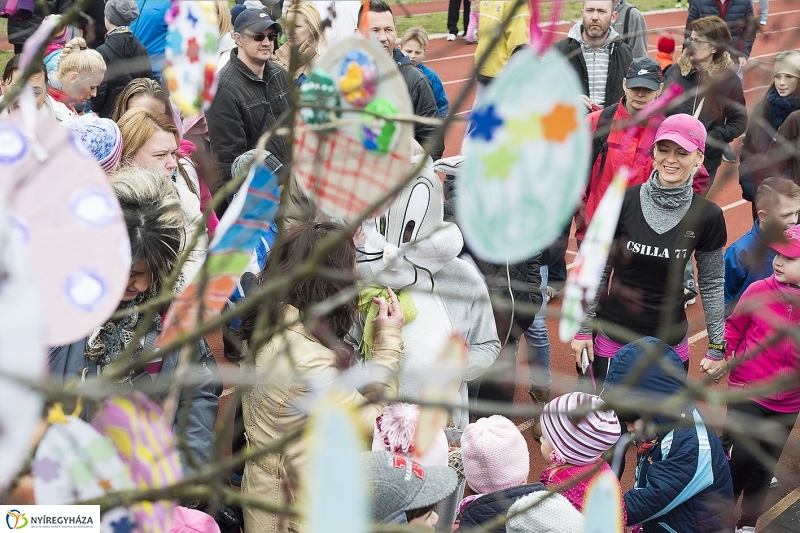 Nyuszifutás a Városi Stadionban