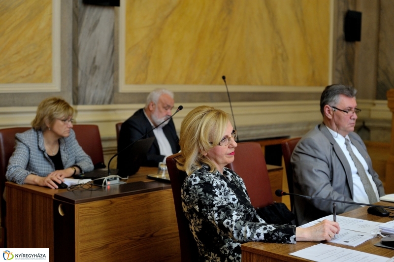 Városi Közgyűlés 20160331