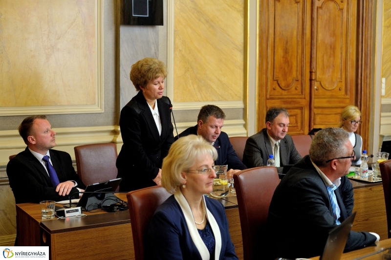 Városi Közgyűlés 20160331
