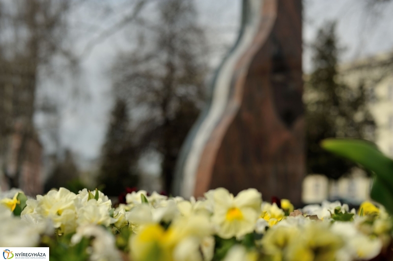 Tavaszi virágzás a belvárosban