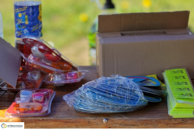 Ingyenes jármű átvizsgálás