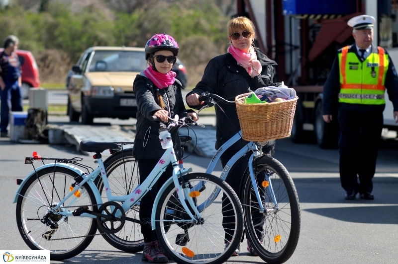 Ingyenes jármű átvizsgálás