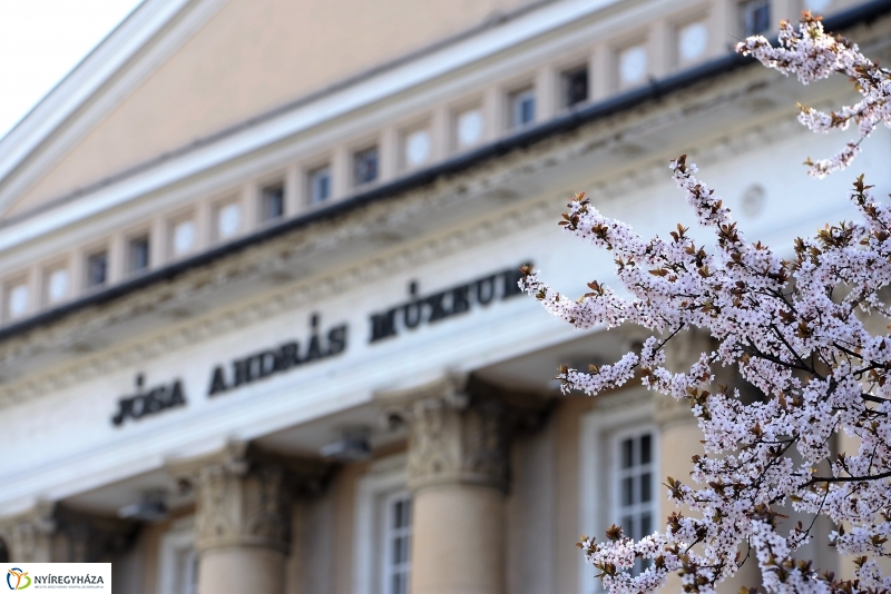 Vasárnapi virágos belváros