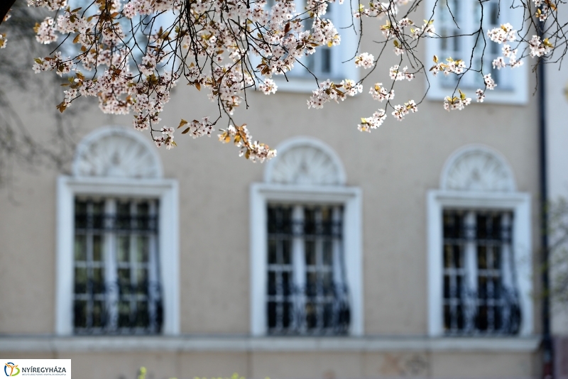 Vasárnapi virágos belváros