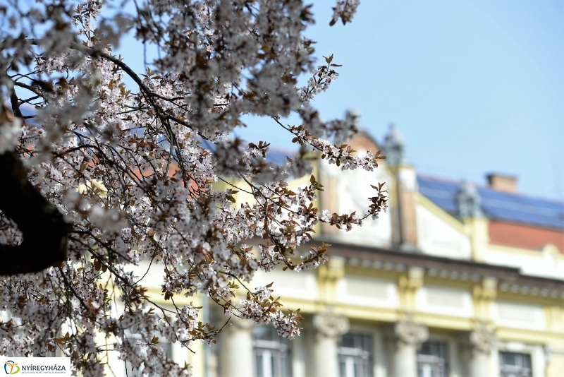 Vasárnapi virágos belváros