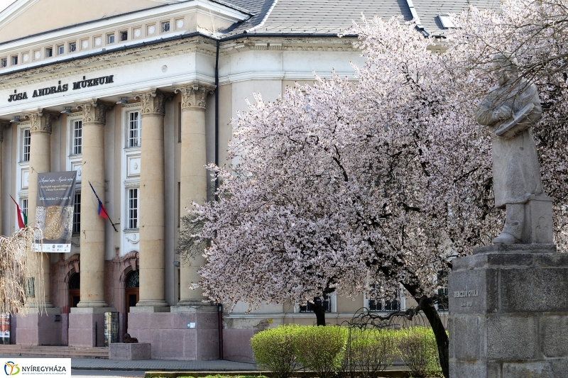 Vasárnapi virágos belváros