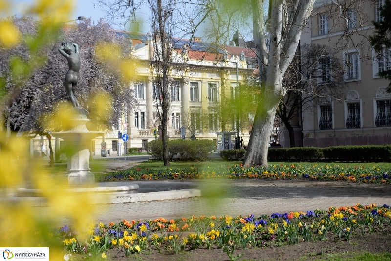 Vasárnapi virágos belváros