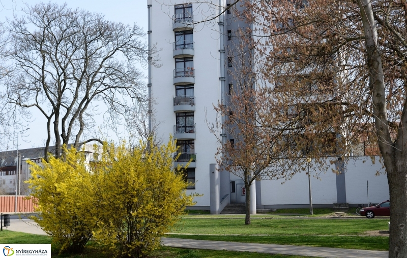 Vasárnapi virágos belváros