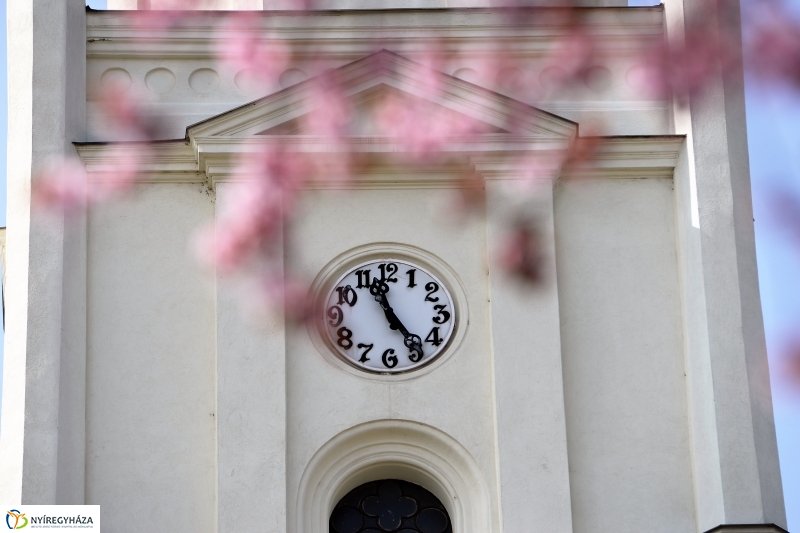 Vasárnapi virágos belváros