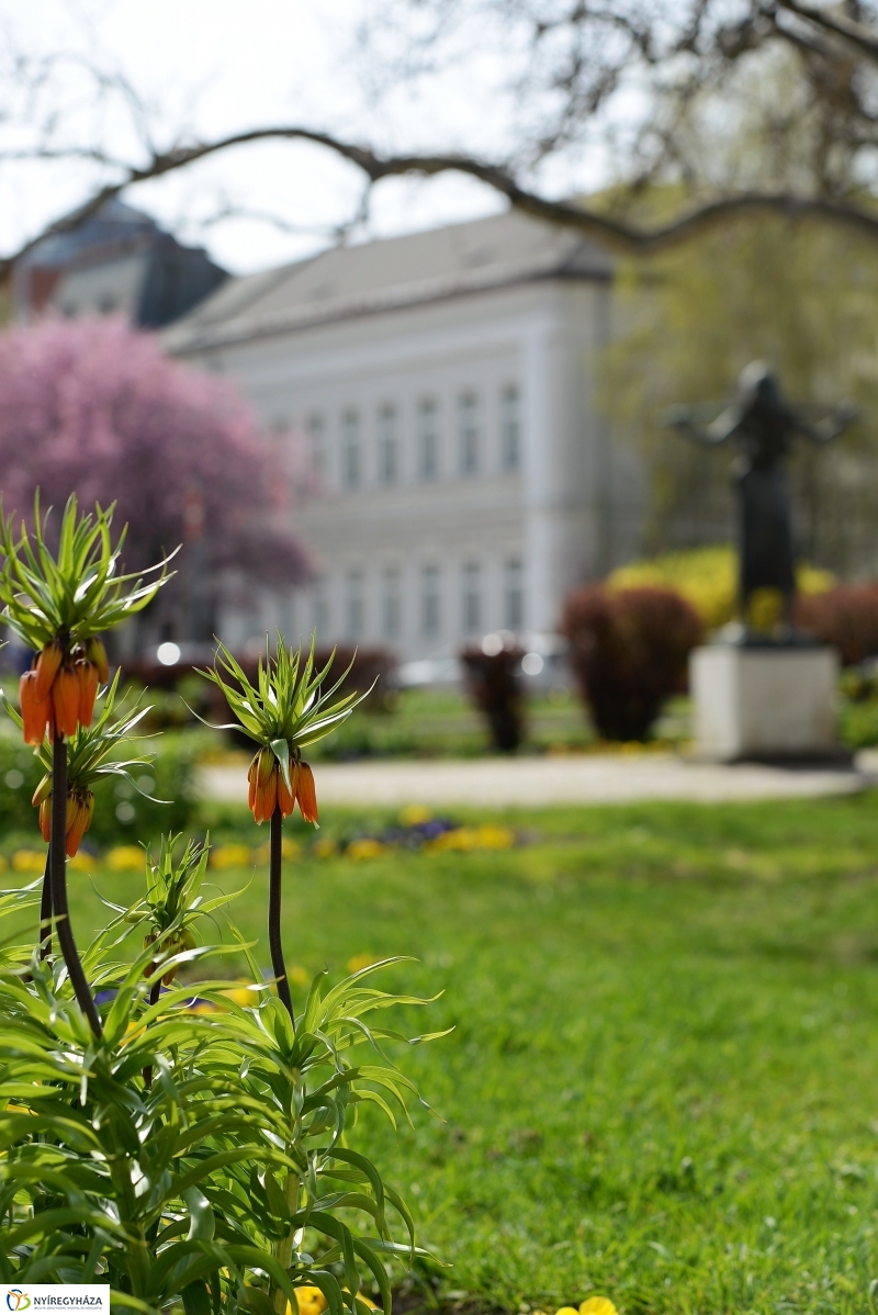 Vasárnapi virágos belváros