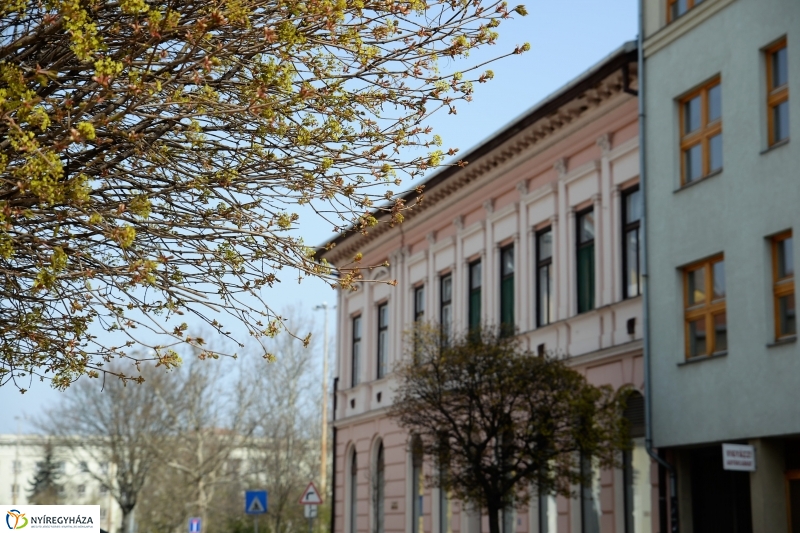 Vasárnapi virágos belváros