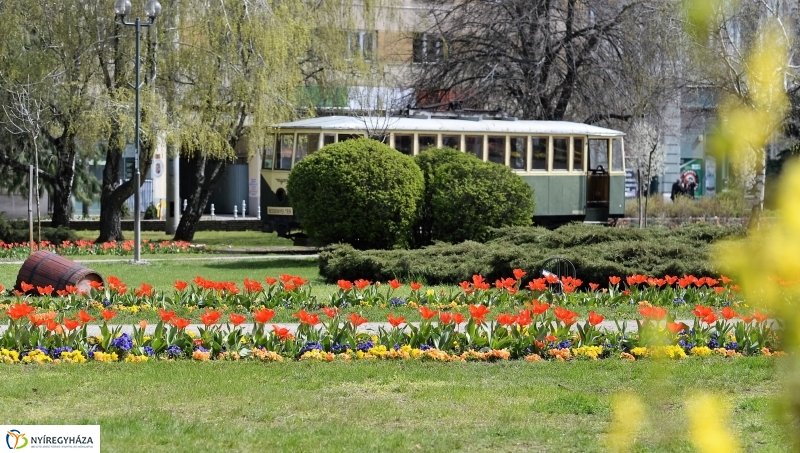 Vasárnapi virágos belváros