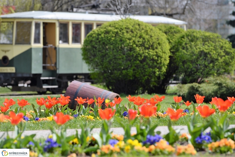 Vasárnapi virágos belváros