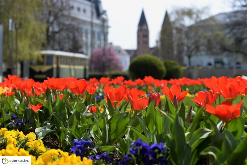 Vasárnapi virágos belváros