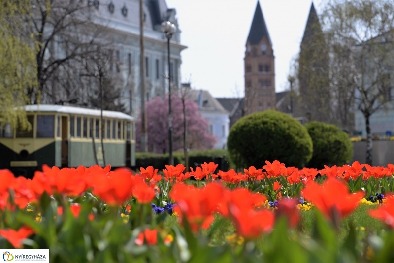 Vasárnapi virágos belváros