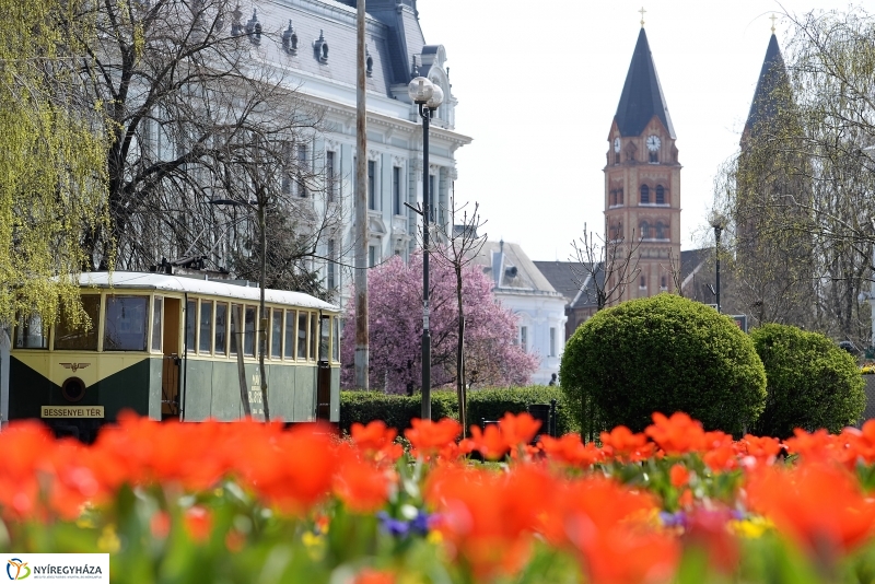 Vasárnapi virágos belváros