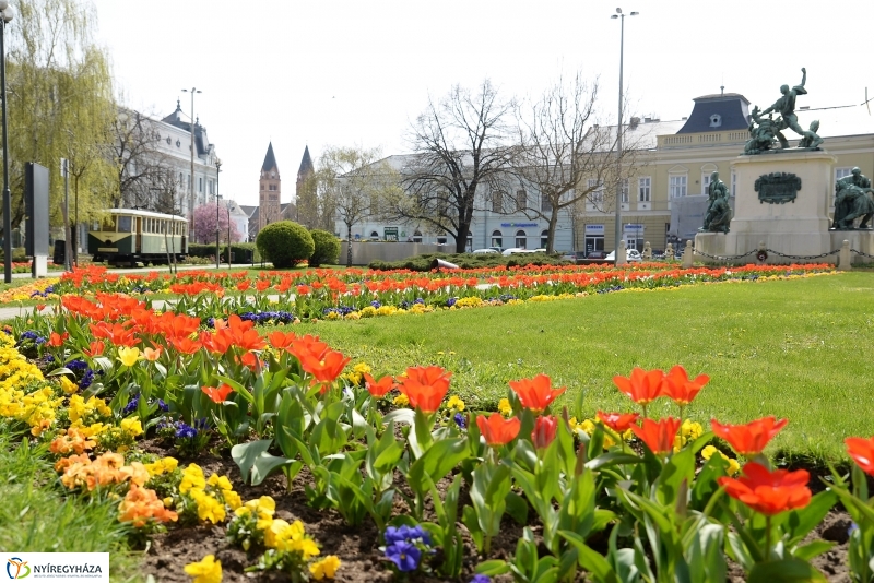 Vasárnapi virágos belváros