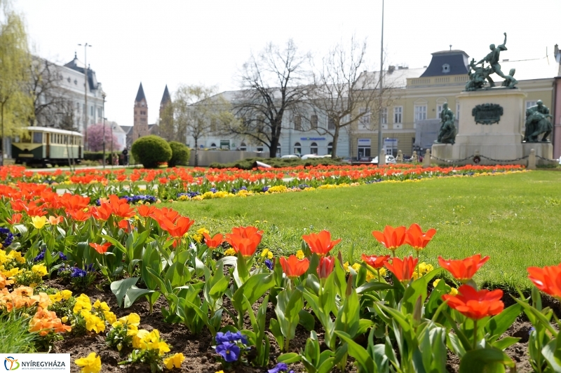 Vasárnapi virágos belváros
