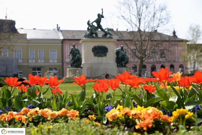 Vasárnapi virágos belváros