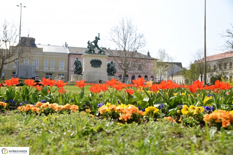 Vasárnapi virágos belváros