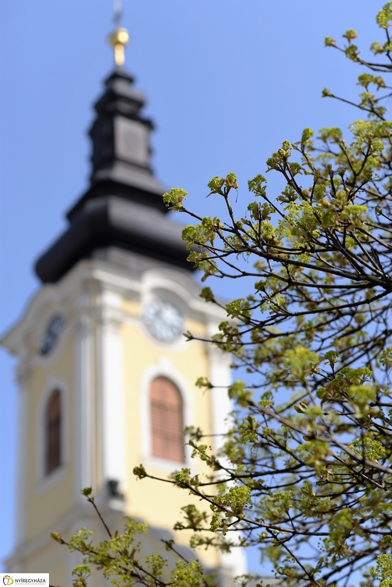 Nyíregyháza virágos belvárosa