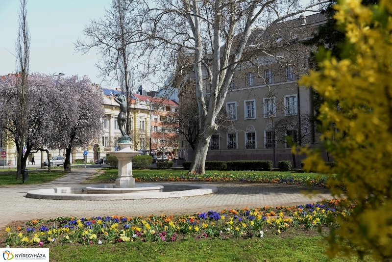 Nyíregyháza virágos belvárosa