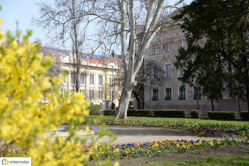 Nyíregyháza virágos belvárosa