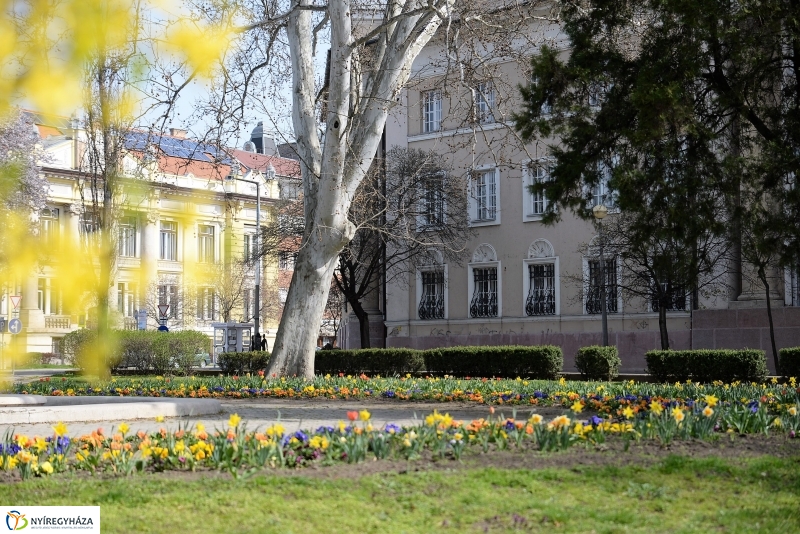 Nyíregyháza virágos belvárosa
