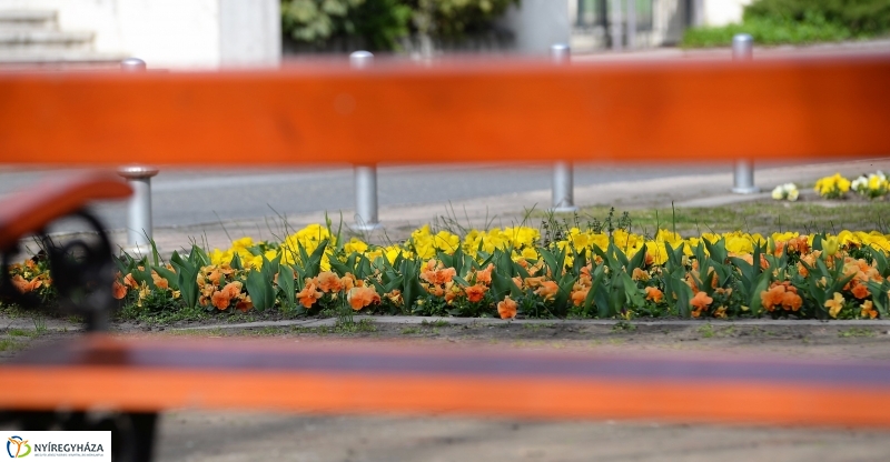 Nyíregyháza virágos belvárosa