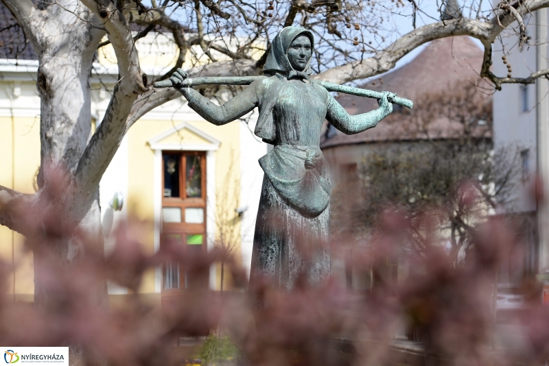 Nyíregyháza virágos belvárosa