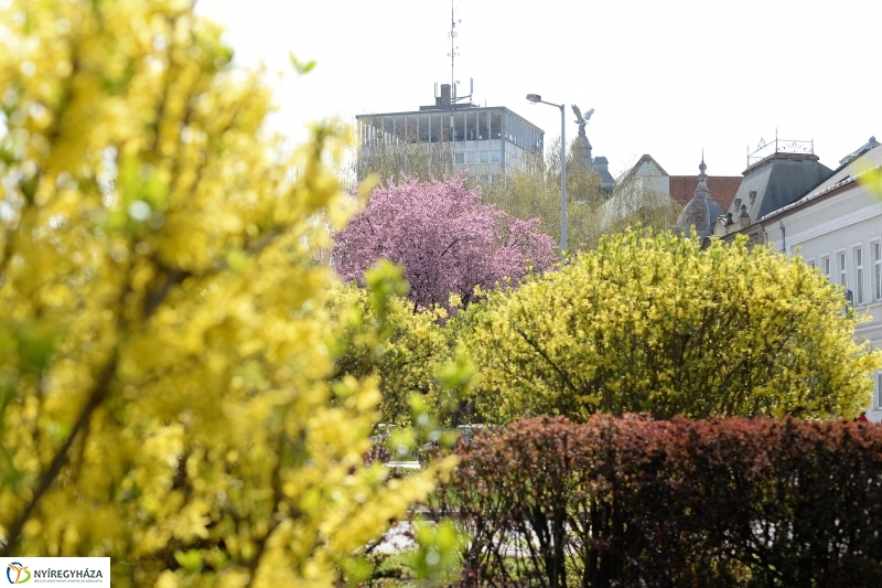 Nyíregyháza virágos belvárosa