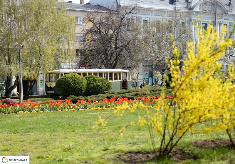 Nyíregyháza virágos belvárosa