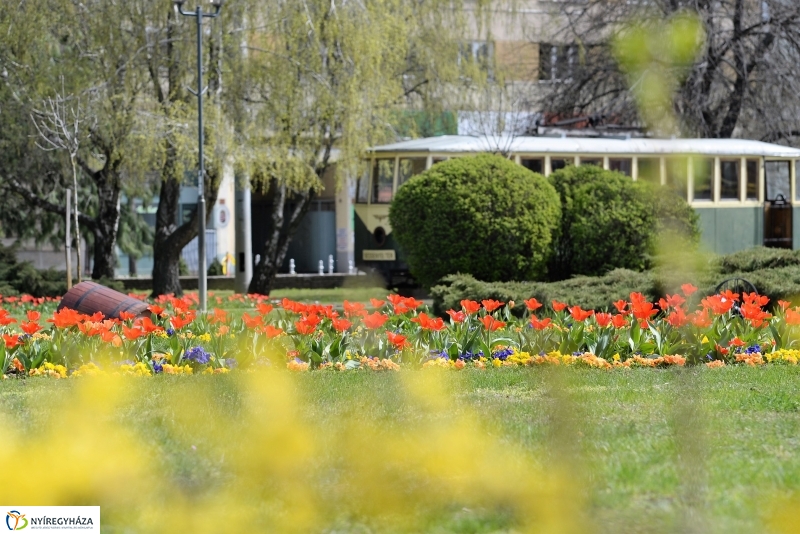 Nyíregyháza virágos belvárosa