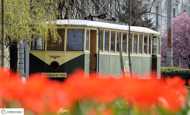 Nyíregyháza virágos belvárosa