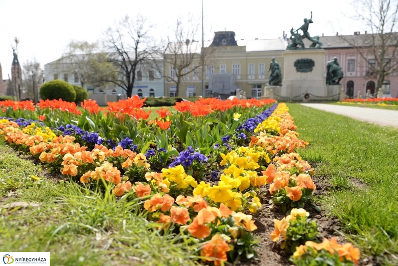 Nyíregyháza virágos belvárosa