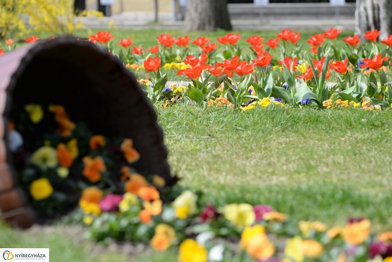 Nyíregyháza virágos belvárosa