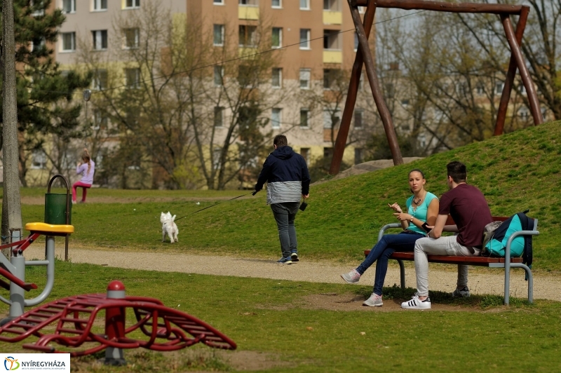 Tavasz a Jósavárosban és a Korányi-kertvárosban