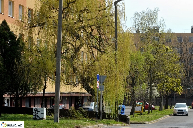 Tavasz a Jósavárosban és a Korányi-kertvárosban