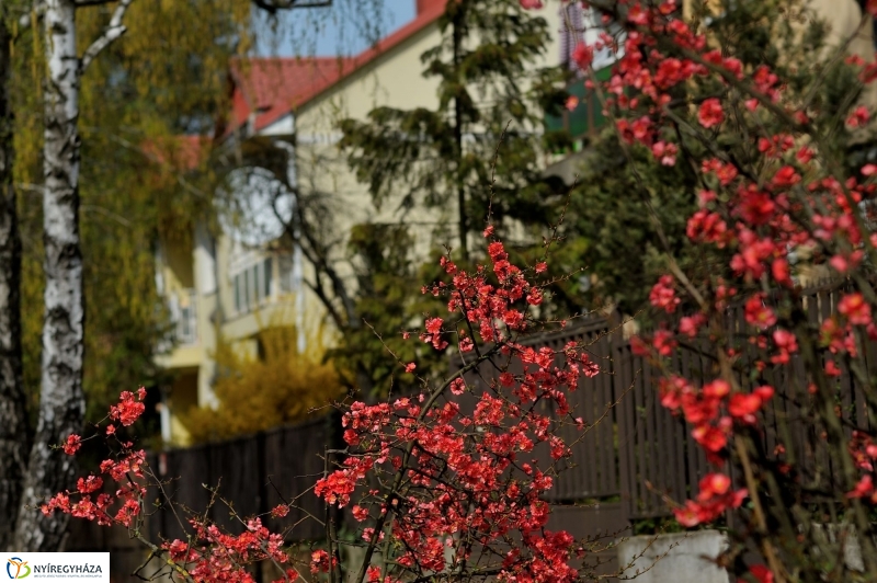 Tavasz a Jósavárosban és a Korányi-kertvárosban