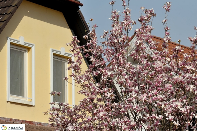 Tavasz a Jósavárosban és a Korányi-kertvárosban