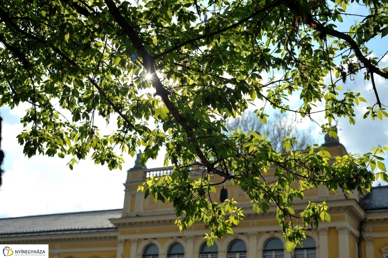 Tavaszi délután a belvárosban