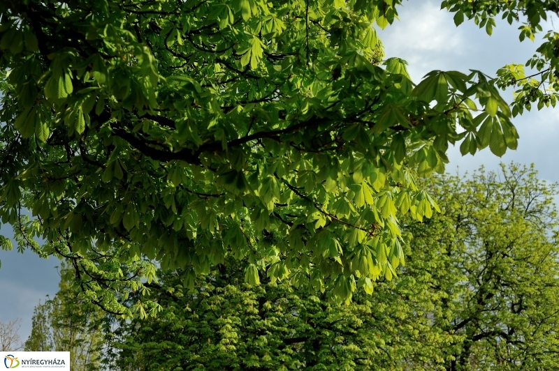 Tavaszi délután a belvárosban