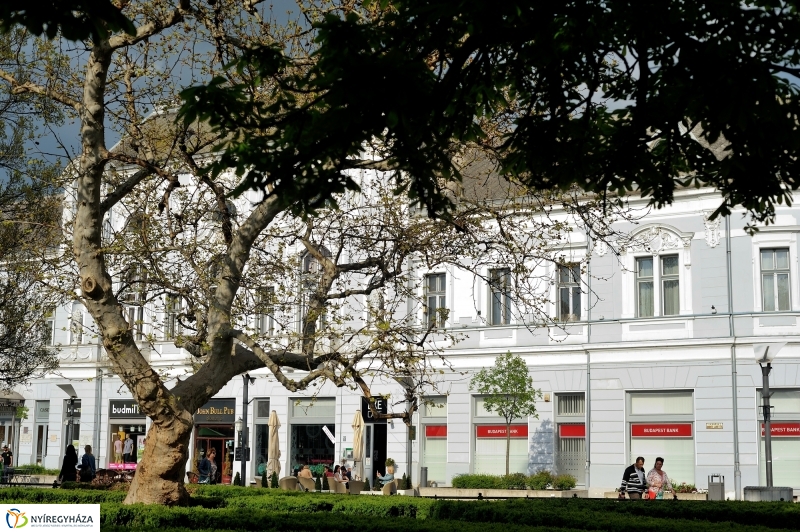 Tavaszi délután a belvárosban