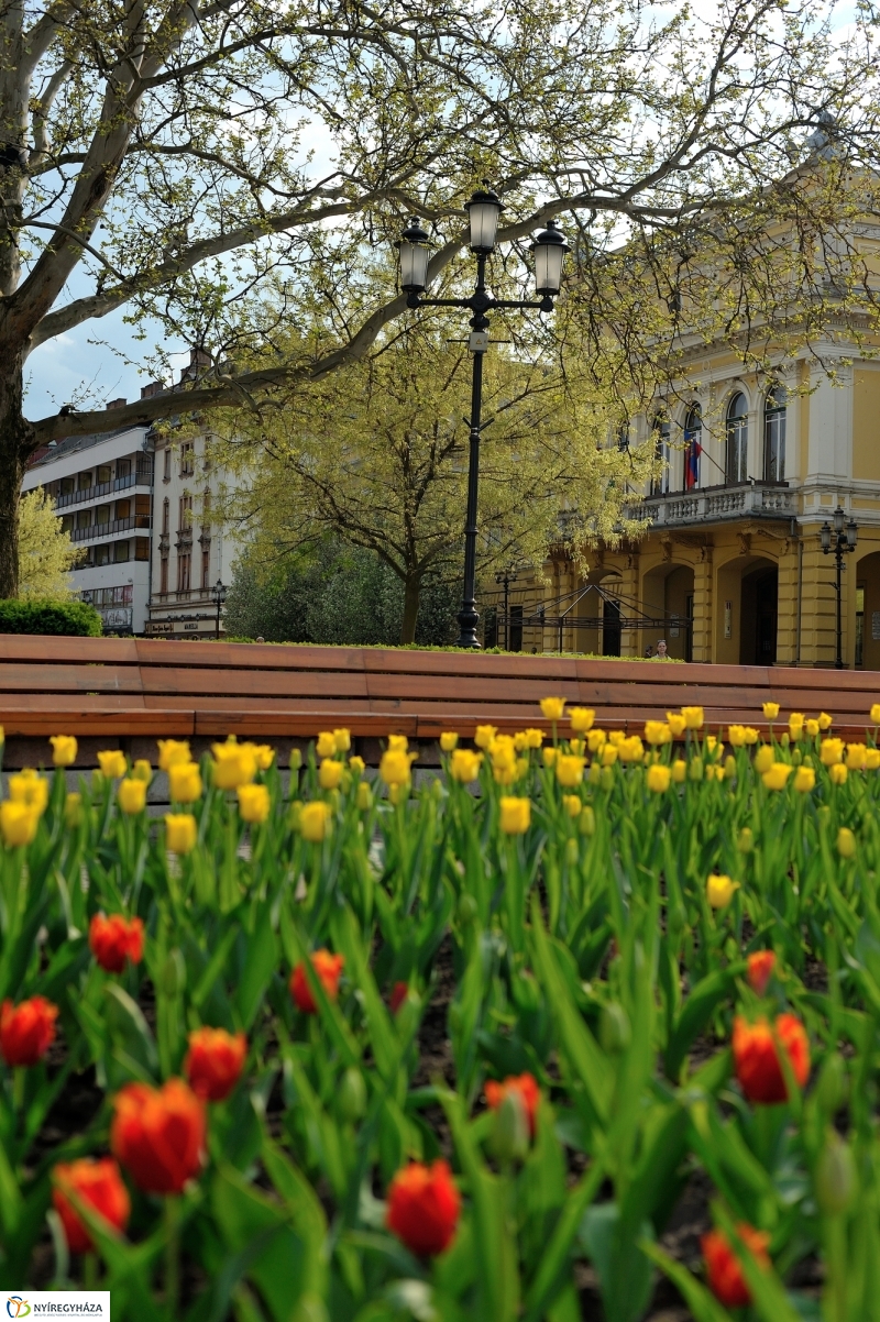 Tavaszi délután a belvárosban