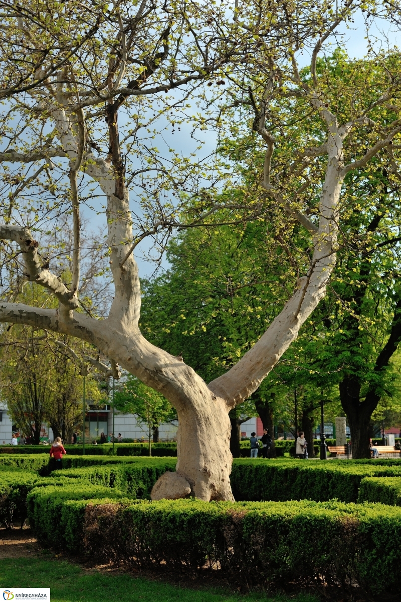 Tavaszi délután a belvárosban