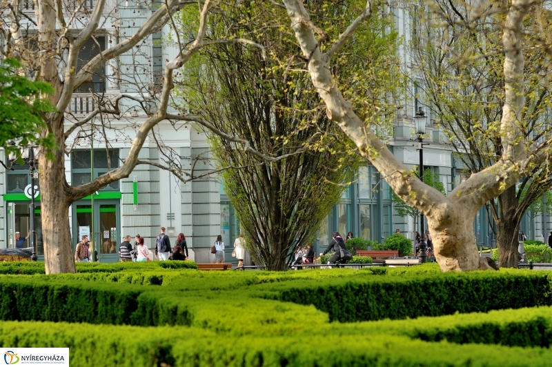 Tavaszi délután a belvárosban