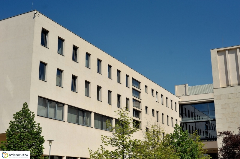 Egyetemek találkozása