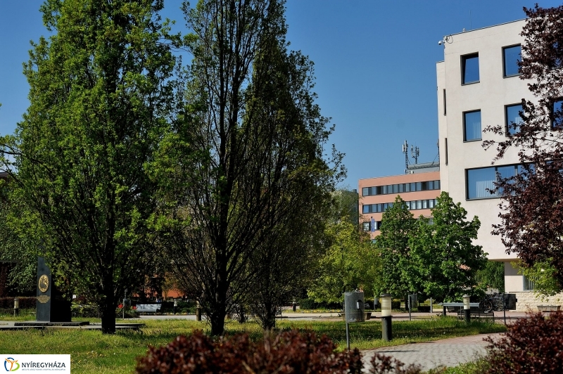 Egyetemek találkozása